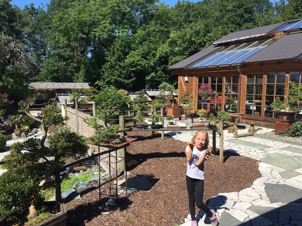 Featured image for “Bonsai Museum – oáza klidu v srdci Korutan”