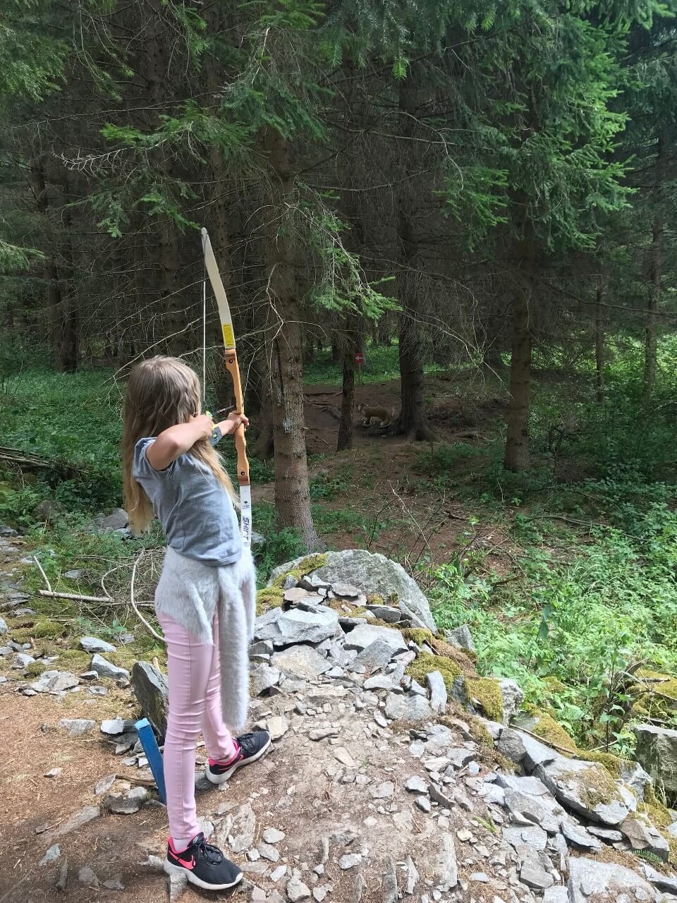 Featured image for “3D Bogenparcour Maltatal – dobrodružství s lukem v přírodě”